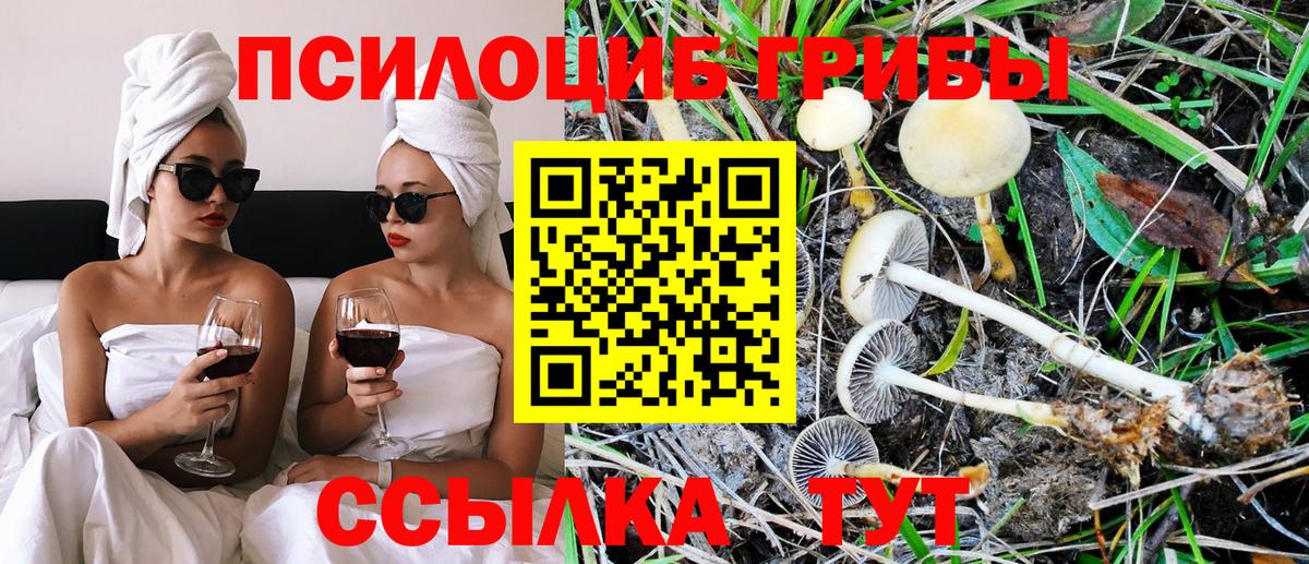 Псилоцибиновые грибы GOLDEN TEACHER  закладки  Псилоцибиновые грибы GOLDEN TEACHER  Оренбург  Вход с VPN 
