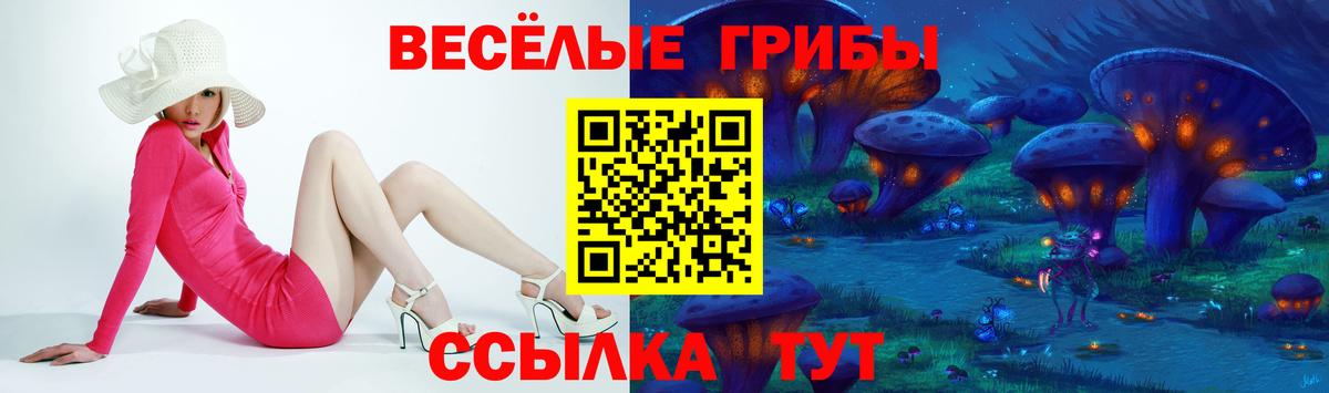 Галлюциногенные грибы GOLDEN TEACHER Оренбург